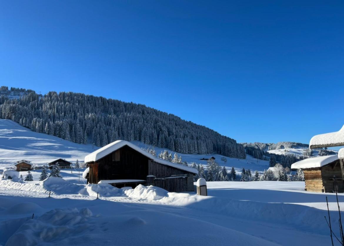 Le Chalet Du Cret - 8 Pers, Tout Confort Avec Jacuzzi Notre-Dame-de-Bellecombe Exterior photo